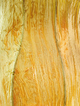 Vintage PA Barocco Wall Sconce