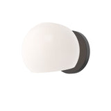 Willow Vanity Light By Alora - 1 Light Matte Black Color with Opal Matte Glass