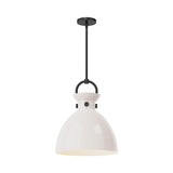 Waldo Pendant Light