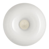 Circus Wall Sconce by Foscarini, Size: Small, Large, , | Casa Di Luce Lighting