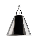 Altamount Dark Pendant by Hudson Valley, Finish: Nickel Polished, Size: Large, | Casa Di Luce Lighting