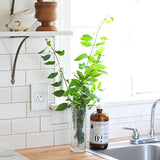 Adorne 15A Tamper-Resistant Self-Test GFCI Outlet by Legrand Adorne, Color: White, Graphite, Magnesium-Legrand Adorne, , | Casa Di Luce Lighting