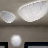 Eden Wall-Ceiling Light by Karman, Size: Small, Medium, Large, , | Casa Di Luce Lighting