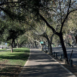 O Outdoor Suspension by Artemide, Title: Default Title, , | Casa Di Luce Lighting