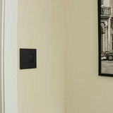 Adorne 15A Outlet by Legrand Adorne, Color: White, Graphite, Magnesium-Legrand Adorne, , | Casa Di Luce Lighting