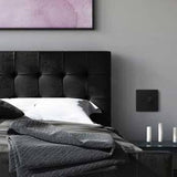 Adorne 15A Outlet by Legrand Adorne, Color: White, Graphite, Magnesium-Legrand Adorne, , | Casa Di Luce Lighting