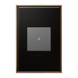 Adorne 1 Gang Cast Metal Wall Plate by Legrand Adorne, Finish: Black Nickel, Brushed Black Nickel, Brushed Satin Brass-Legrand Adorne, Brushed Stainless Steel, Coffee-Legrand Adorne, Matt Antique Copper-Legrand Adorne, Oiled Rubbed Bronze, Satin Black-Kichler, Nickel Satin, , | Casa Di Luce Lighting