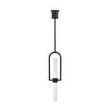 Calumn Pendant by Tech Lighting, Finish: Black, , | Casa Di Luce Lighting