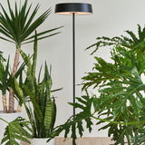 China LED Floor Lamp by Seed Design, Finish: Matt Brass, Matt Black, Oiled Bronze-Cerno, Light Option: LED, E26, | Casa Di Luce Lighting