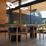 Circa Pendant Light by Pablo, Finish: White, Graphite, Size: 12 Inch, 16 Inch, | Casa Di Luce Lighting