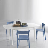 Skin CS/1391 Dining Chair by Calligaris