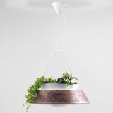 Eden Suspension by Torremato, Finish: Grey, White, Corten, Size: Medium, Large, | Casa Di Luce Lighting