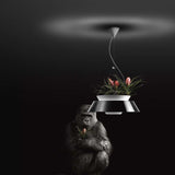 Eden Suspension by Torremato, Finish: Grey, White, Corten, Size: Medium, Large, | Casa Di Luce Lighting