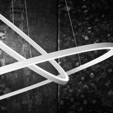 Ellisse Double Pendant Light by Nemo, Finish: White, Black, Gold Painted, Polished Aluminium, Gold Polished Anodized, Color Temperature: 2700K, 3000K, | Casa Di Luce Lighting