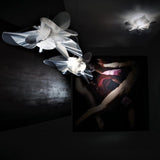 Etoile Chandelier by Slamp, Size: Small, Large, , | Casa Di Luce Lighting