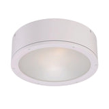 White Tube LED Ceiling Mount by WAC Lighting