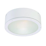 Tube LED Ceiling Mount - Casa Di Luce