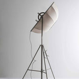 Fortuny Floor Lamp by Pallucco, Color: Black/White-Palluco, Black/Gold Metallic-Palluco, Semi Gloss Black/Bronze Metallic-Palluco, Semi Gloss Black/Metallic Silver-Palluco, Beige/White-Palluco, White/White-Palluco, Finish: Black, Titanium, White, | Casa Di Luce Lighting