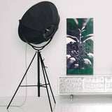 Fortuny Petite Floor Lamp by Pallucco, Color: Black/White-Palluco, Black/Gold Metallic-Palluco, Semi Gloss Black/Bronze Metallic-Palluco, Semi Gloss Black/Metallic Silver-Palluco, Beige/White-Palluco, White/White-Palluco, Finish: Black, Titanium, White, | Casa Di Luce Lighting