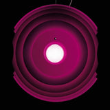 Fuchsia Supernova Suspension Details