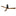 Aviator Ceiling Fan by Modern Forms, Finish: Graphite, Black Matte, , | Casa Di Luce Lighting