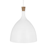 Darwin Medium Pendant by ED by Ellen DeGeneres, Title: Default Title, , | Casa Di Luce Lighting