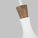 Darwin Medium Pendant by ED by Ellen DeGeneres, Title: Default Title, , | Casa Di Luce Lighting