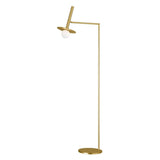 Nodes Floor Lamp by Kelly by Kelly Wearstler, Finish: Midnight Black, Burnished Brass, , | Casa Di Luce Lighting