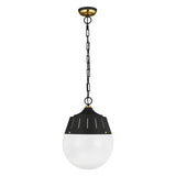 Arlett Pendant by TOB by Thomas O'Brien, Finish: Burnished Brass, Midnight Black, , | Casa Di Luce Lighting