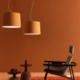 Velvet Suspension in living room