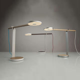 Gravy LED Desk Lamp by Koncept, Finish: Silver, White Matte, Wood Color: Maple-Cerno, White Oak, Walnut-LZF, | Casa Di Luce Lighting