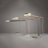 Gravy LED Desk Lamp by Koncept, Finish: Silver, White Matte, Wood Color: Maple-Cerno, White Oak, Walnut-LZF, | Casa Di Luce Lighting