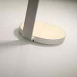 Gravy LED Desk Lamp by Koncept, Finish: Silver, White Matte, Wood Color: Maple-Cerno, White Oak, Walnut-LZF, | Casa Di Luce Lighting