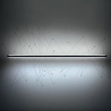 Graffiti Suspension by Pallucco, Size: Small, Large, , | Casa Di Luce Lighting