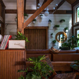 Coco Chandelier by Mitzi, Finish: Aged Brass/Soft Off White-Mitzi, Polished Nickel/Black-Mitzi, Number of Lights: 5, 7, | Casa Di Luce Lighting