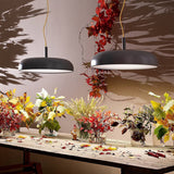 Budino Suspension - Lifestyle View