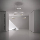 Giro Tondo Suspension 1