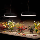 Budino Suspension - Lifestyle View