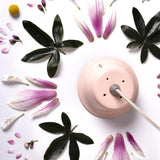 Chlorophyll Bulbo Table Lamp by Linea Light, Finish: Azure, Pink-Ai Lati, Terracotta, , | Casa Di Luce Lighting