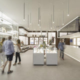 Anthracite Grey / Polished Nickel Virtus Suspension by Axo Light