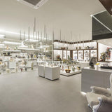 Anthracite Grey / Polished Nickel Virtus Suspension by Axo Light