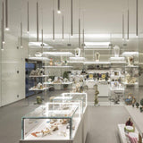 Anthracite Grey / Polished Nickel Virtus Suspension by Axo Light