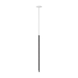 Anthracite Grey / Polished Nickel Virtus Suspension by Axo Light