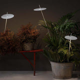 Xana Floor Lamp - Casa Di Luce