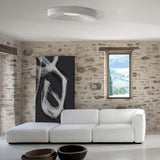 Roma Ceiling Light in living room