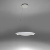 Discovery Suspension by Artemide, Finish: Black, Aluminum, , | Casa Di Luce Lighting