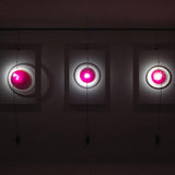 Close-Up Wall Light by Vesoi, Color: Red, White, Size: Small, Large, | Casa Di Luce Lighting