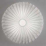 Muse Wall Light by AXO Light, Color: Light Sticks Muse, Size: Small, | Casa Di Luce Lighting