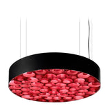 Spiro Suspension Lamp - Casa Di Luce