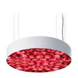 Spiro Suspension Lamp - Casa Di Luce